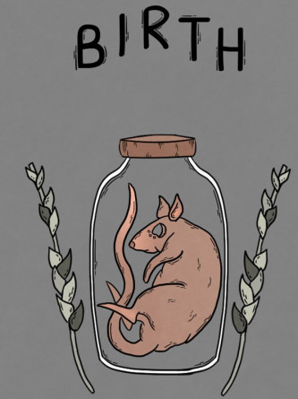 Постер игры Birth