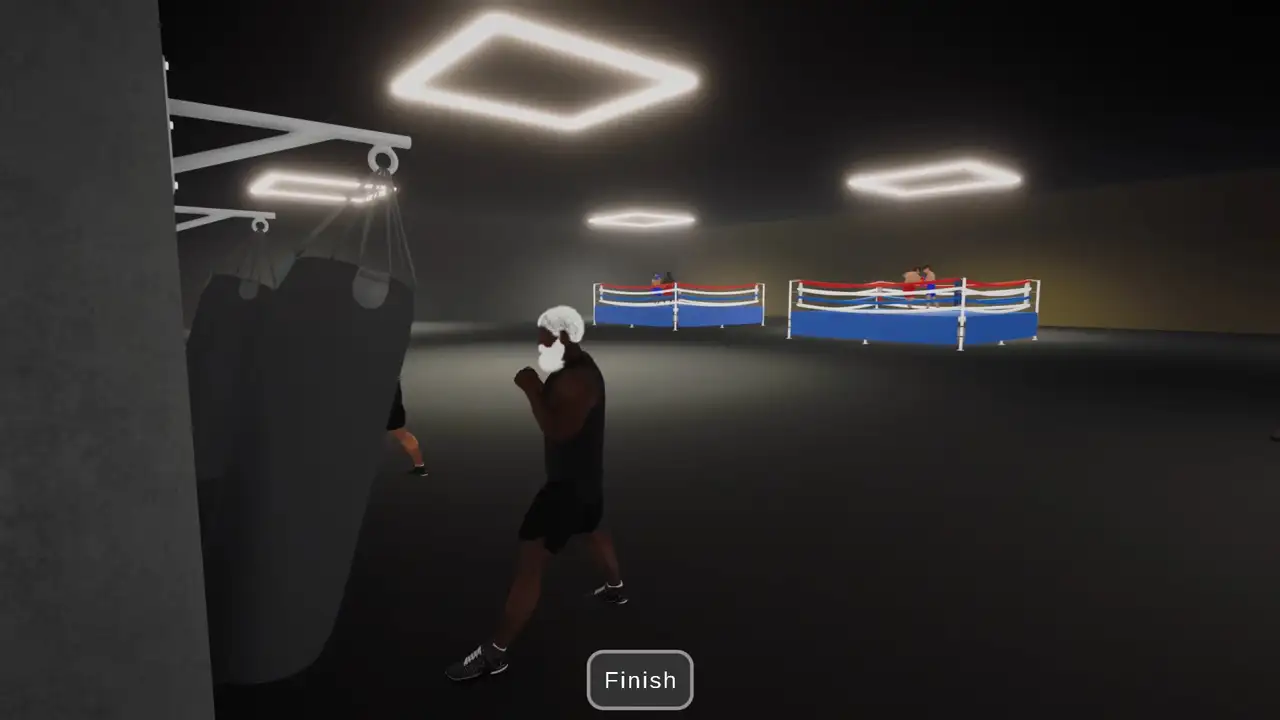Скриншот игры Boxing Simulator