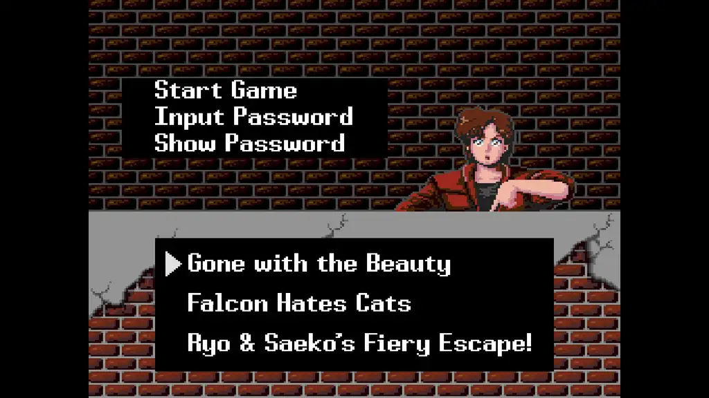 Скриншот игры City Hunter