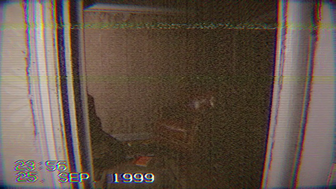 Скриншот игры Too Well Hidden