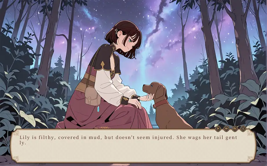 Скриншот игры The Sojourning Wise Woman's Final Quest