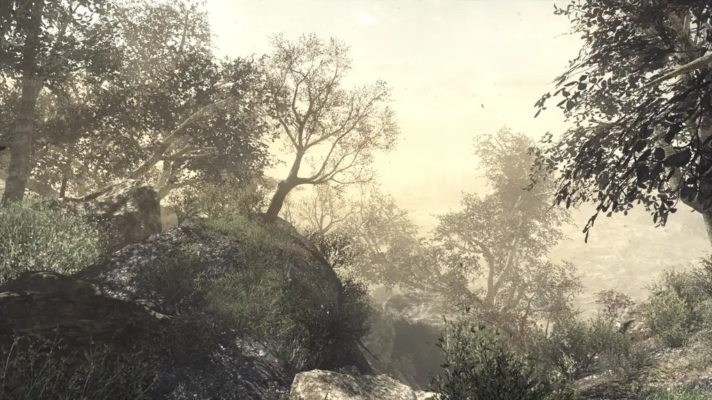 Скриншот игры Call of Duty: Ghosts