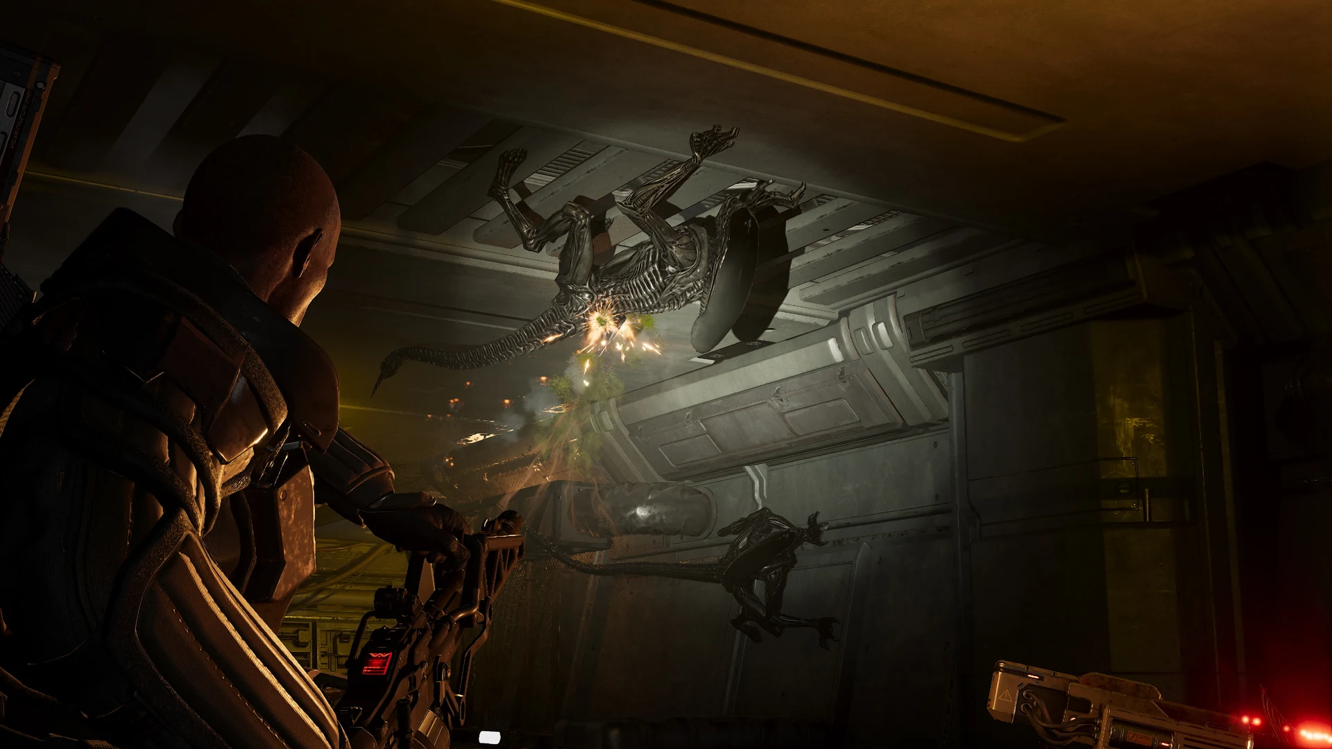 Скриншот игры Aliens: Fireteam Elite 2