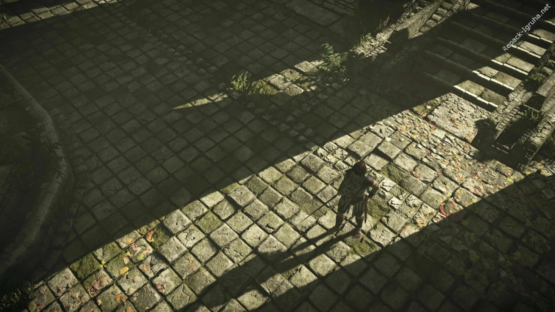 Скриншот игры Shadow of the Colossus