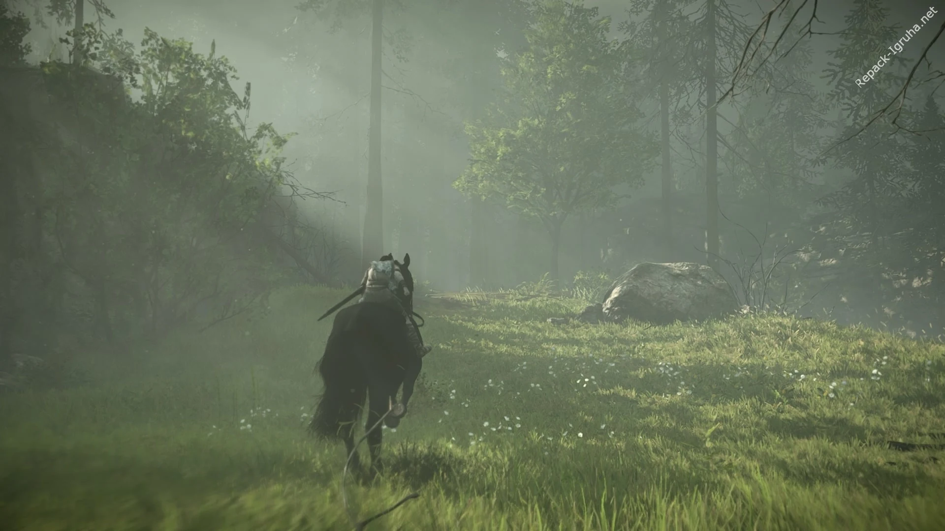 Скриншот игры Shadow of the Colossus