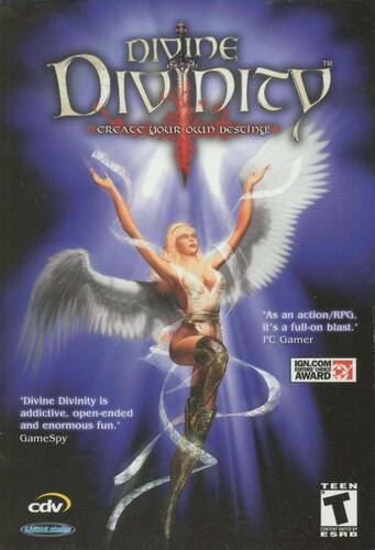 Постер игры Divine Divinity