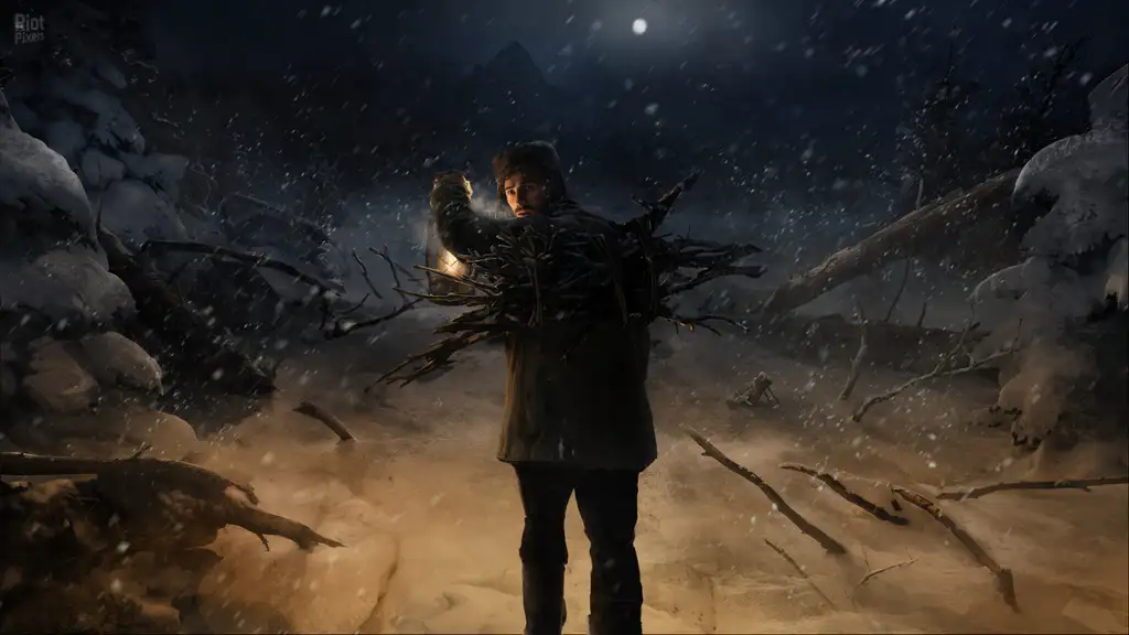 Скриншот игры Siberian Way