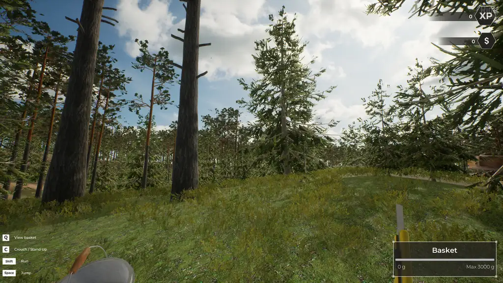 Скриншот игры Mushroom Hunter World