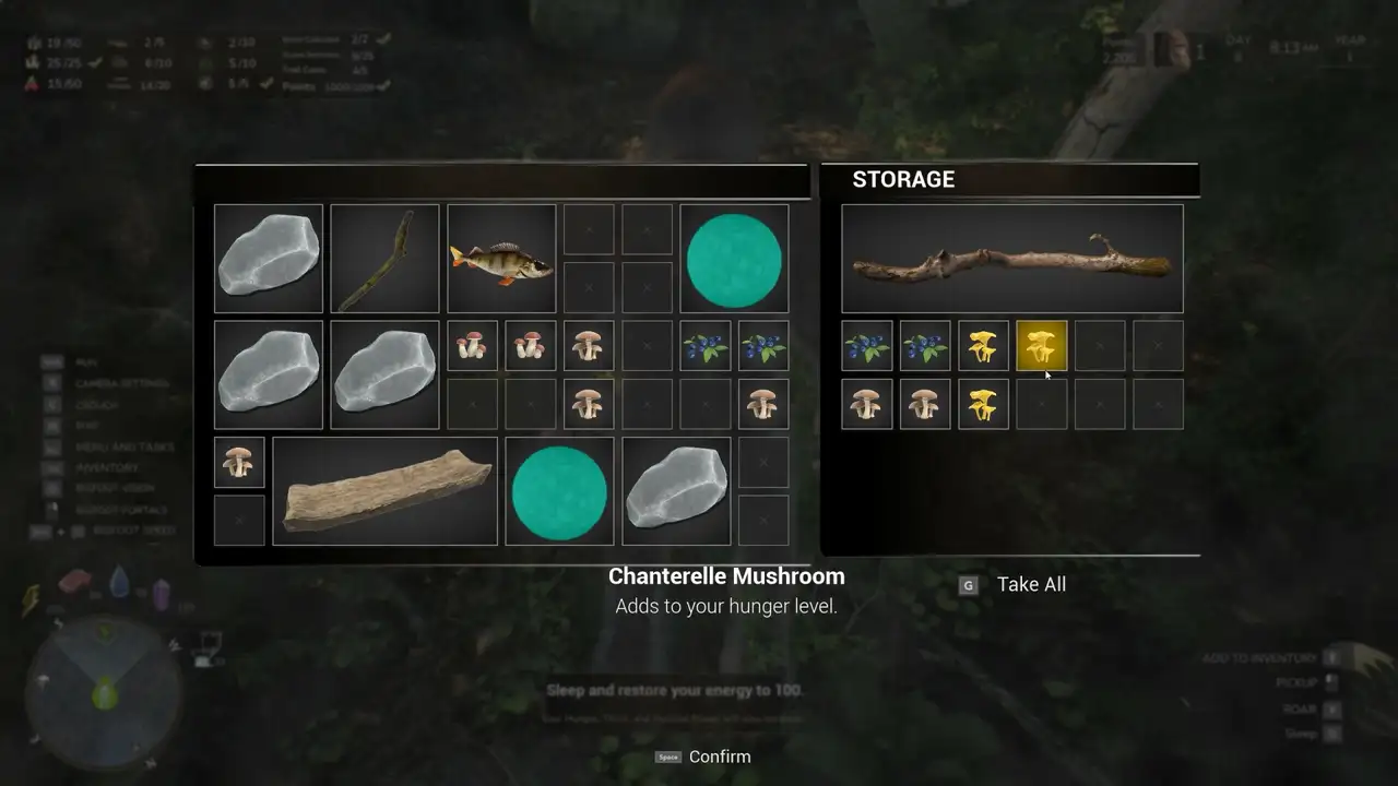 Скриншот игры Bigfoot Life